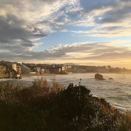Superbe Cocon Grand T3+ Biarritz