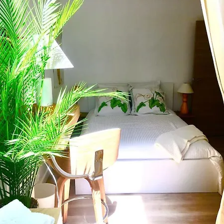 Superbe Cocon Grand T3+ * Biarritz