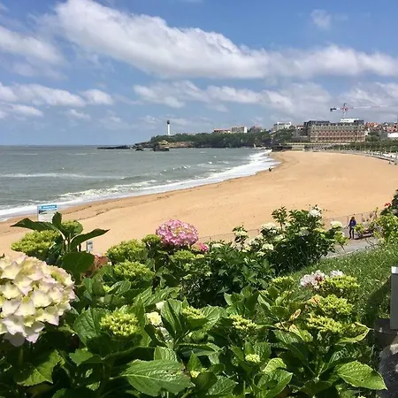 Superbe Cocon Grand T3+ Apartment